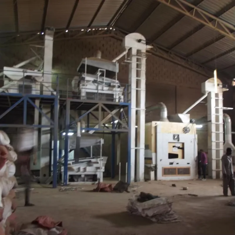 Paddy Rice Seed Processing  Machine  Complete  Paddy Rice  Processing Plant