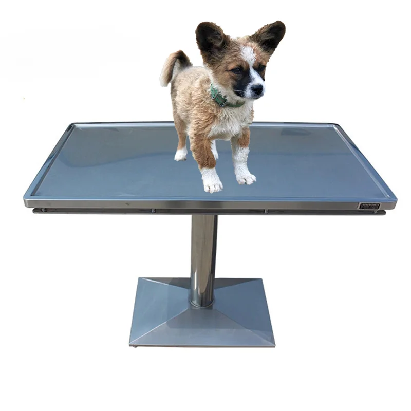 China Factory Clinic Surgical Equipement Pet Examination Table Veterinary Operating Table For Dogs Cat With Scale