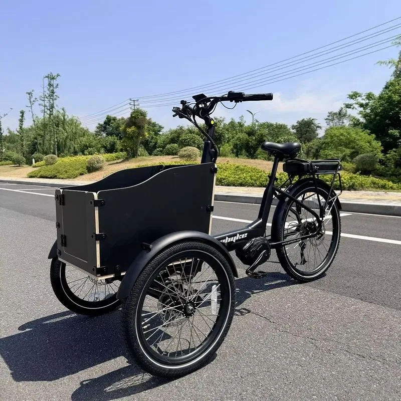 Adult Electric Tricycle 250W Mid Motor 48V 15Ah Battery 150kg Load Pet Dog Transport Three Wheel E Bike