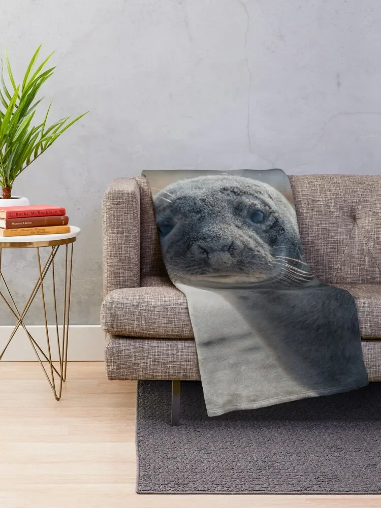 Sweet Baby Seal on a Beach Looking At You with Big Eyes Throw Blanket Luxury Designer Designers for winter Blankets