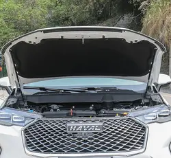 Puntales de Gas del capó para Haval H6 MK3 2021-2024, soportes de elevación de modificación del capó delantero, resortes de choque, amortiguadores, accesorios de amortiguación