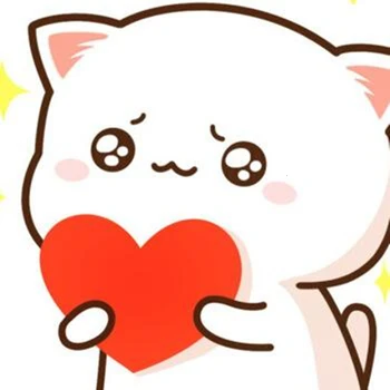 Taxa Extra de Envio da Ordem, Taxa Custom Made