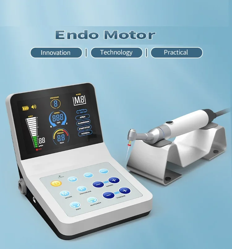 LTDM60 New Arrival  Instrument Micro  System Electric  Rotary Motor Endo With Apex Locator