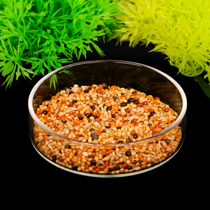 Aquarium Feeding Bowl Fish Tan - Aquarium Fish Holiday Food recension och pris