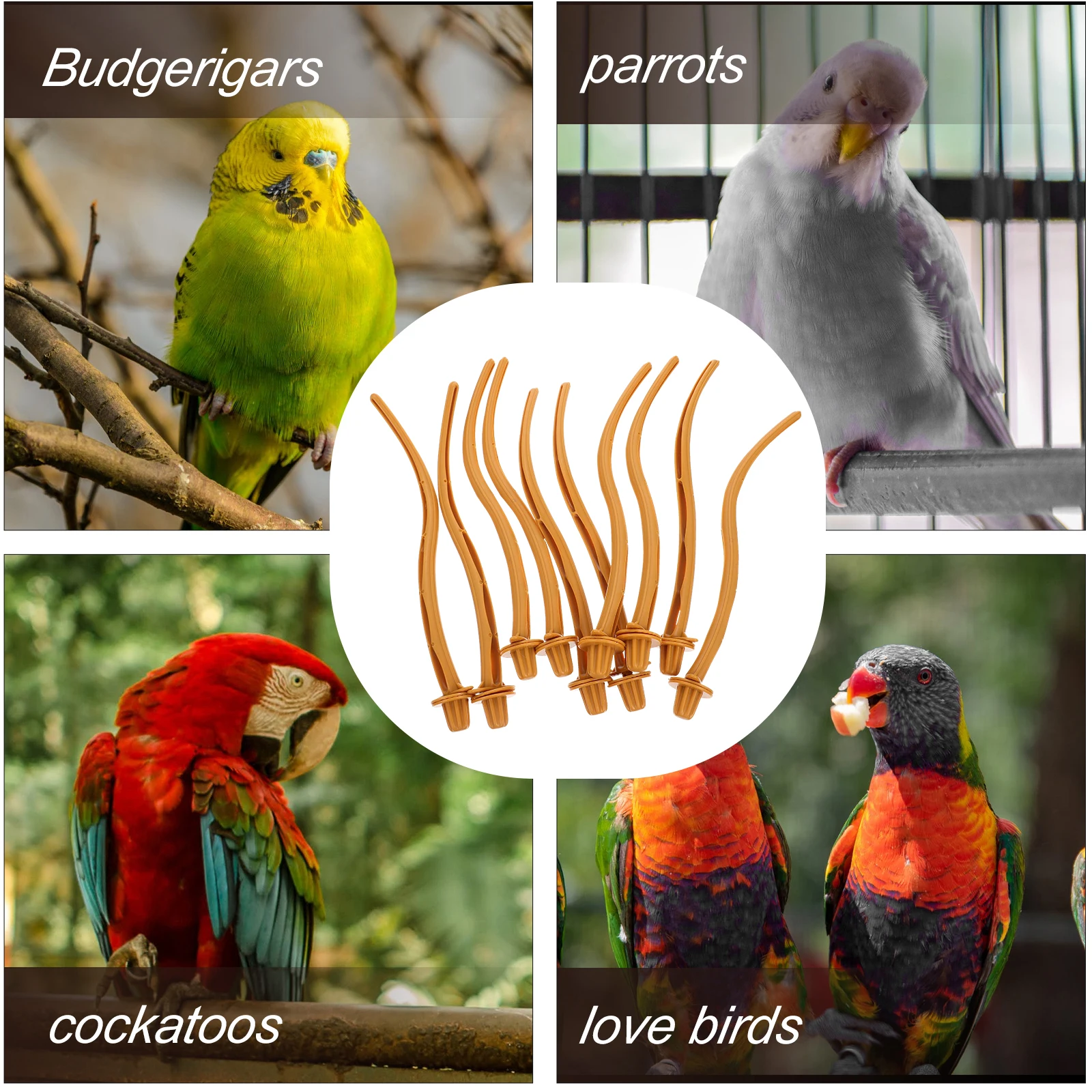 

10Pcs Parakeet Perch Stand Exquisite Detail Bird Cage Accessory Challenge Exercise Bird Perches Parakeet Toys Parrot Toys