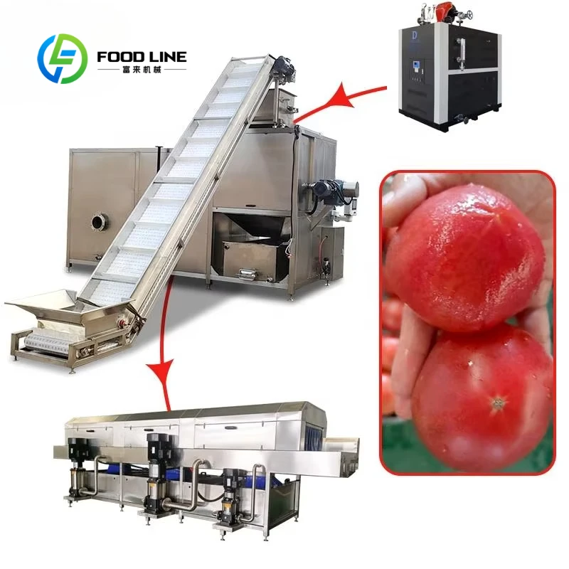 Customized Tomato Processing Line Equipment Automatic Tomato Washing Machine Small Processing Plant Tomato Paste Production Line