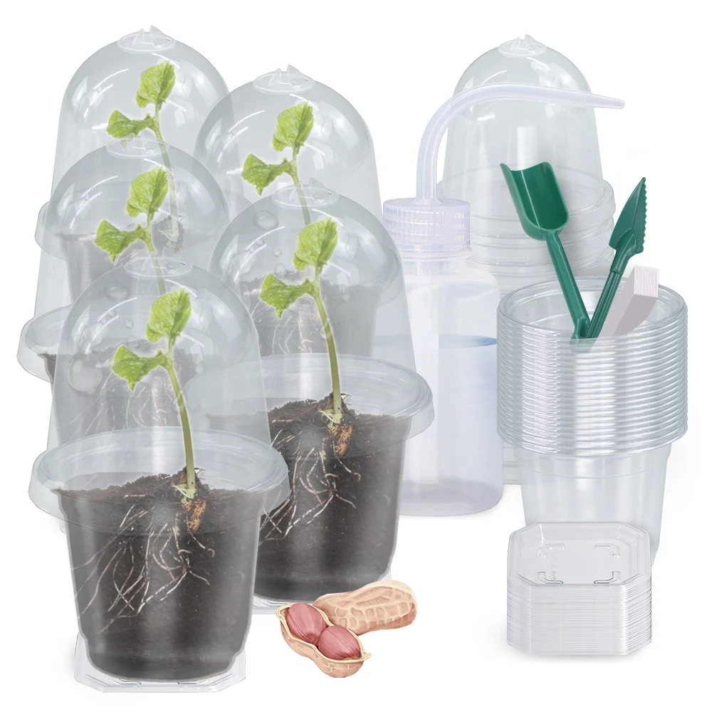 Transparent Nursery Cups for Seeds Seedlings Cutting Clear Germination Box with Humidity Dome Cover Tray Plant Starter Container