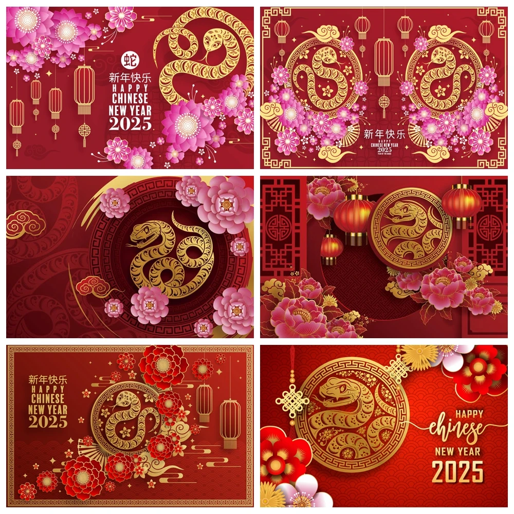 

Happy Chinese New Year Photography Backdrop Red Lantern Flower Year of The Snake Spring Blessing Paper Cut Photo Background