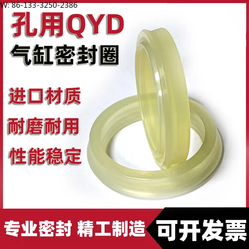 

10Pcs gas seal cylinder hole sealing ring, cylinder sealing oil seal
