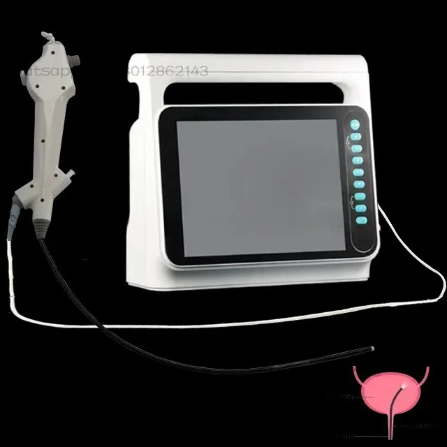 Cystoscope d'endoscope vidéo USB flexible portatif vétérinaire jetable pour petit animal