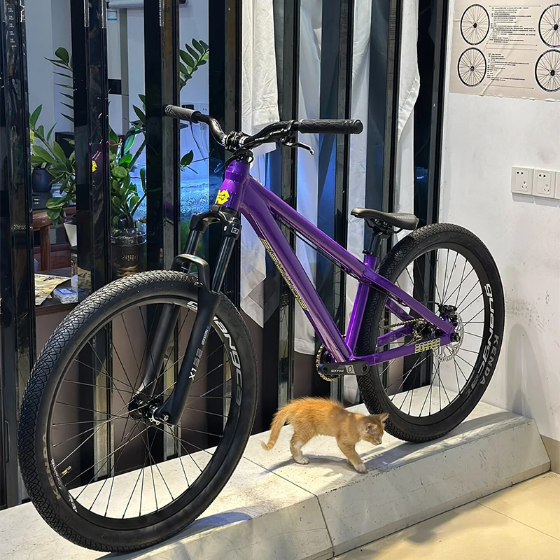 AliExpress NONE 26 Inch BOARSE Dirt Jump Bike Single Speed Fish Tail Aluminum Alloy Frame Hydraulic Disc Brake Complete Bike