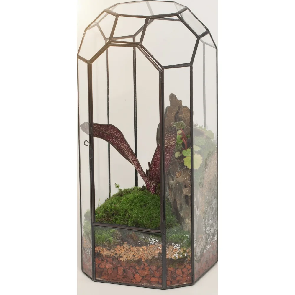 

Glass Geometric Plant Terrarium with Door for Succulents Cacti - Vintage Octagon Planter Indoor Home Garden Office Decor