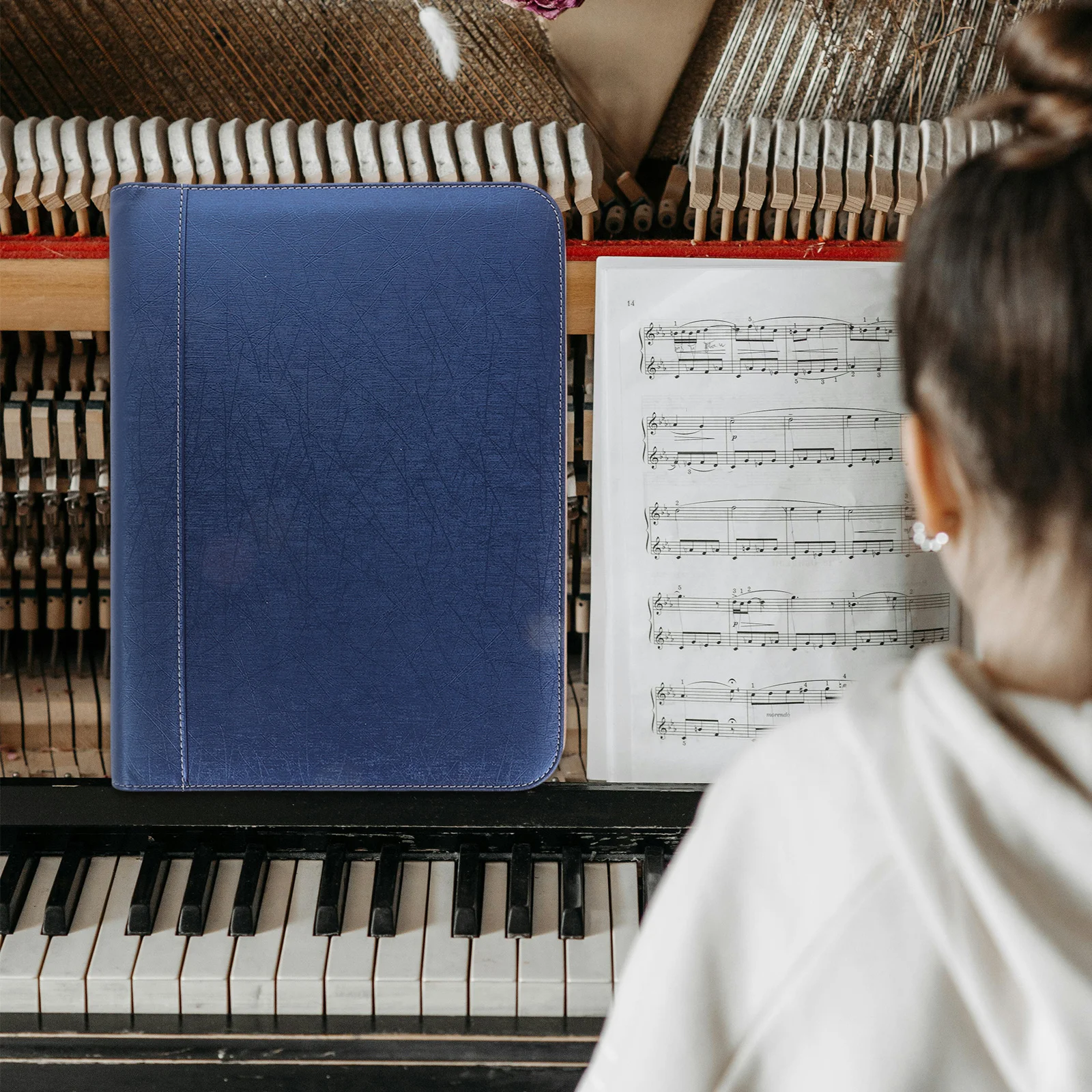 

Musicians Sheet Household A4 Files Storage Folder Portable Folder Sheet Pages Sheet Multi-function A4