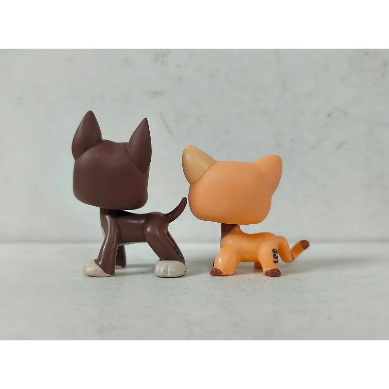 2 teile/los Mini Pet Shop Spielzeug Braun Hund Orange Katze # 1519 # 1643Tier-LPS-Figuren