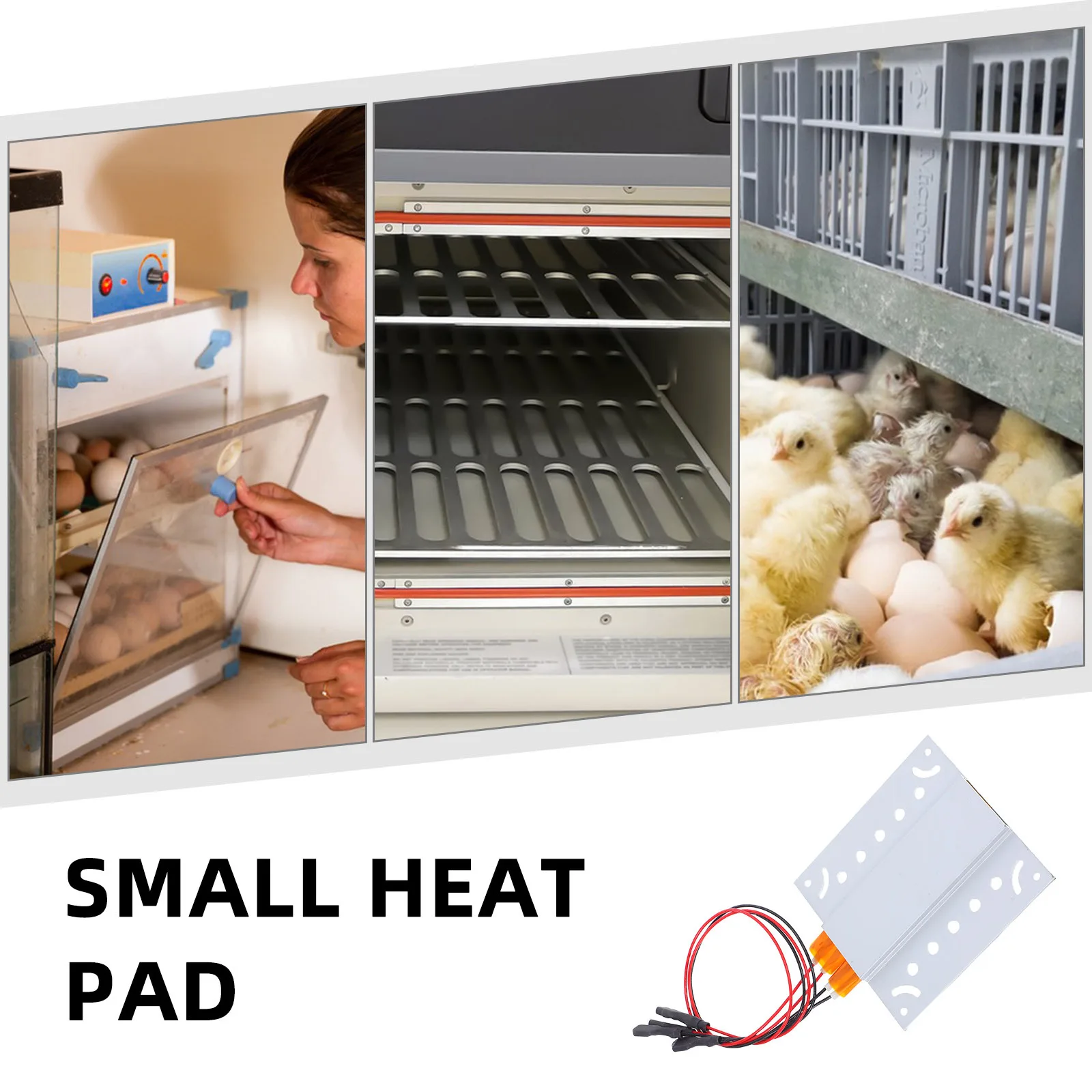 

Ptc Ceramic Heating Pad For Mini Incubator Small Heater Element Insulated Aluminum Surface Rapid Heat Conversion Reptile Tank