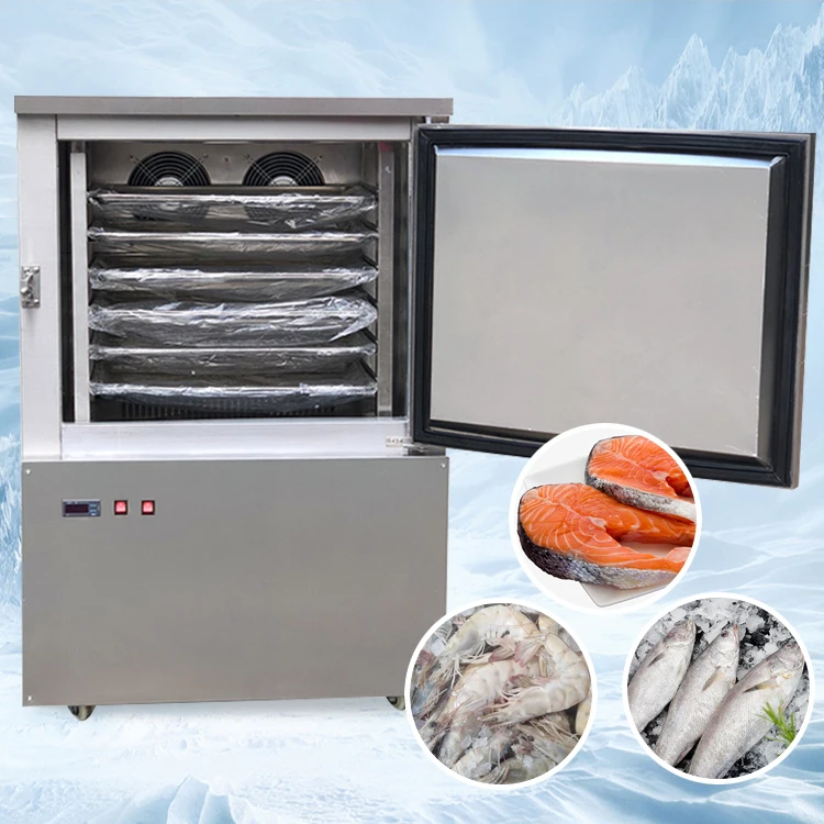 Quick Seafood Chicken Ice Cream Air Cooled Chiller Blast Freezer