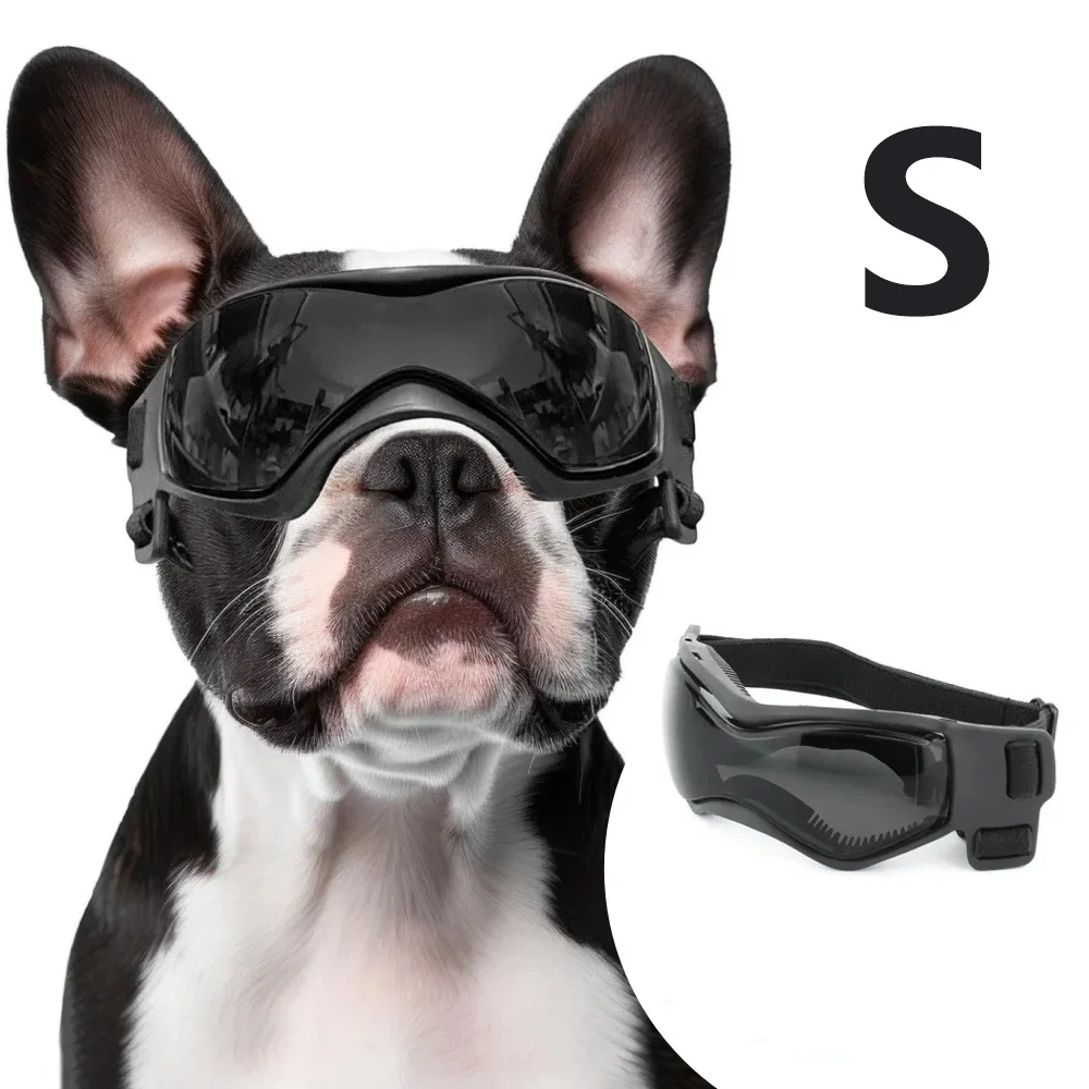 #19 Pet Muzzles List of Top Picks