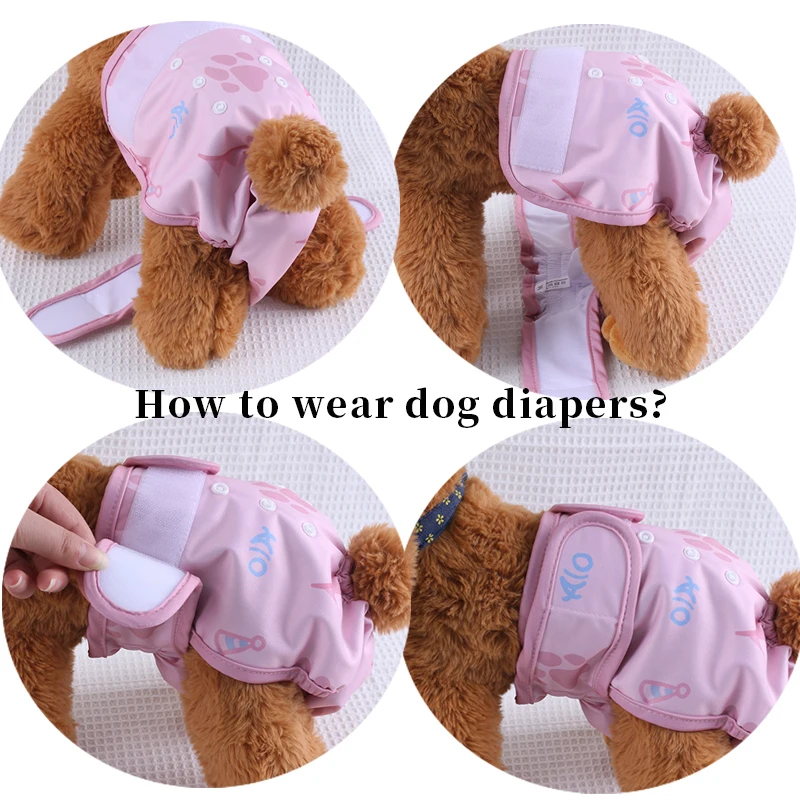 Thumbnail 3 - #40 Budget Dog Diapers for Smart Shoppers