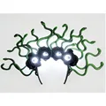 black rose headband