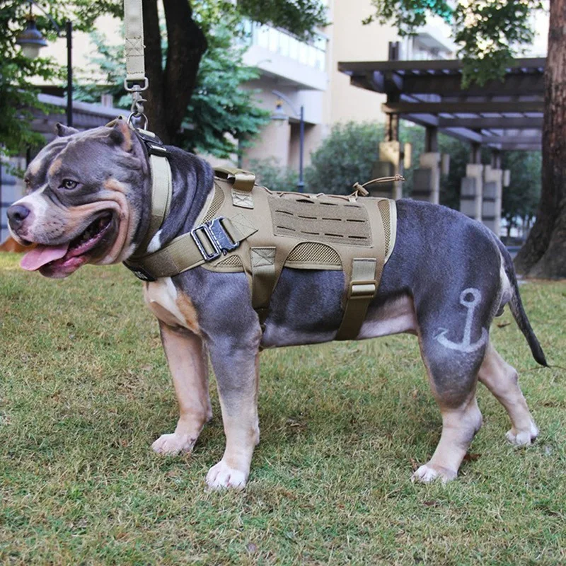 

Dog Tactical Vest Pet Dog Strap Molle Mounted Outdoor Dog Clothing 1000D Tactical Dog Burst Charge Vest Dog Tactical Harness