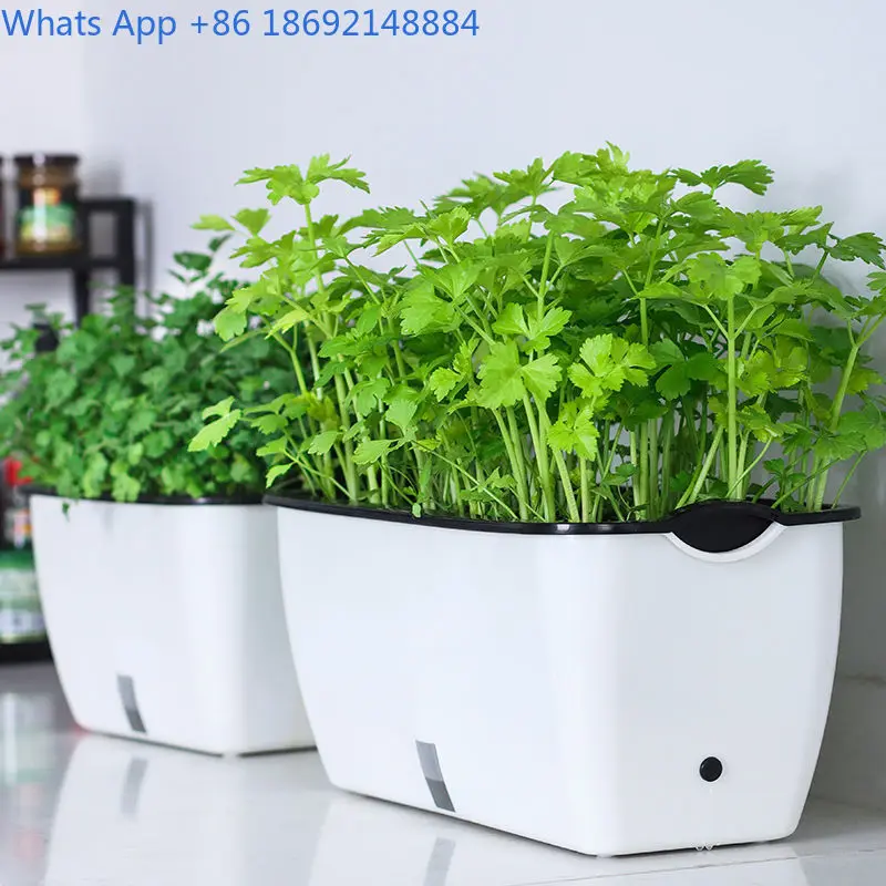 أصيص زهور نبات الفجل الأخضر بوعاء زراعة الخضروات البلاستيكية وعاء شرفة صندوق مستطيل لزراعة الخضروات