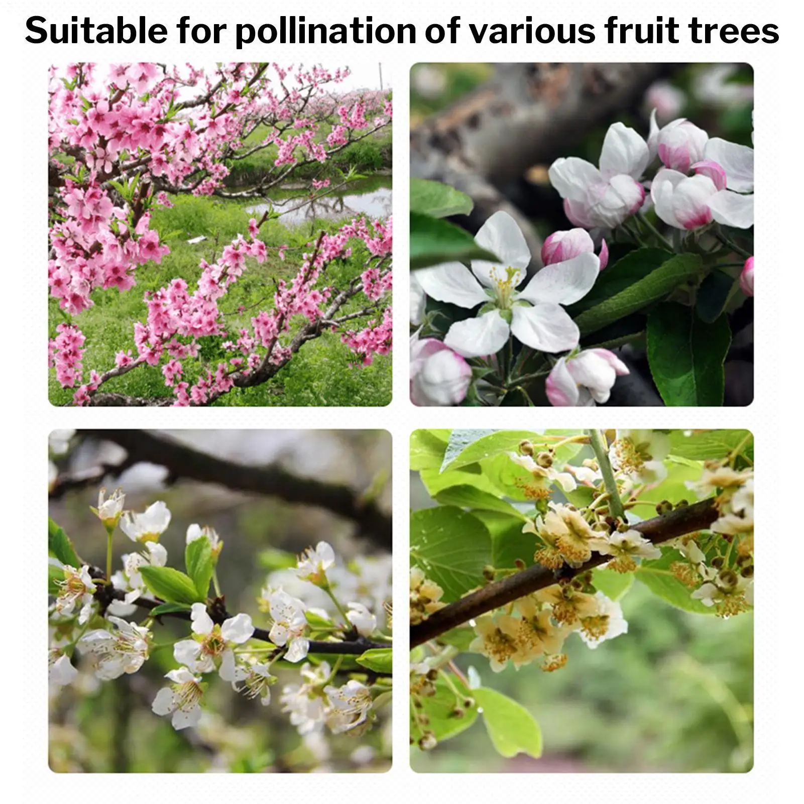 Handheld Pollinator For Plants Peach Trees Pollinator Pollination Stick Gardening Tool For Cultivation Flower Research