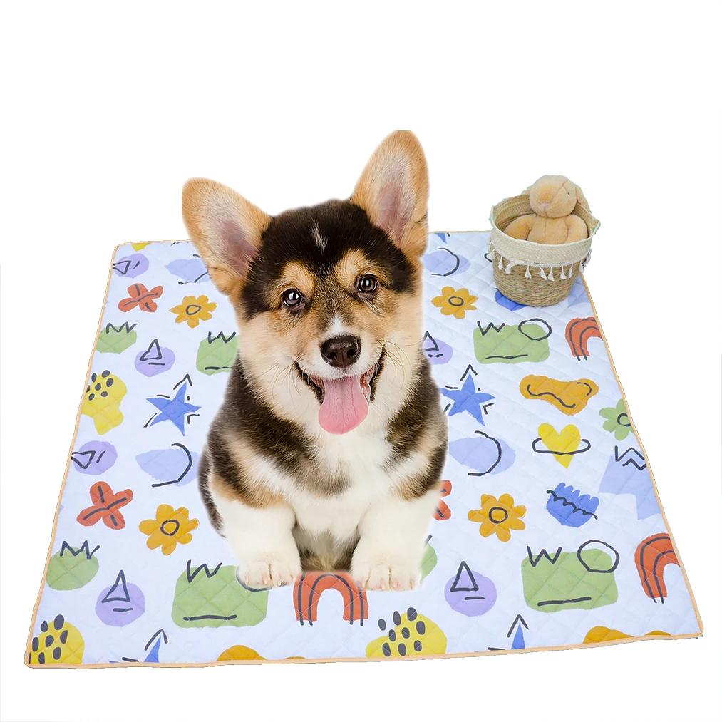 Custom Logo Printing Washable Rug Anti Slip Soft Reversible Carpet Dog Floor Mat Rugs For Pet Room