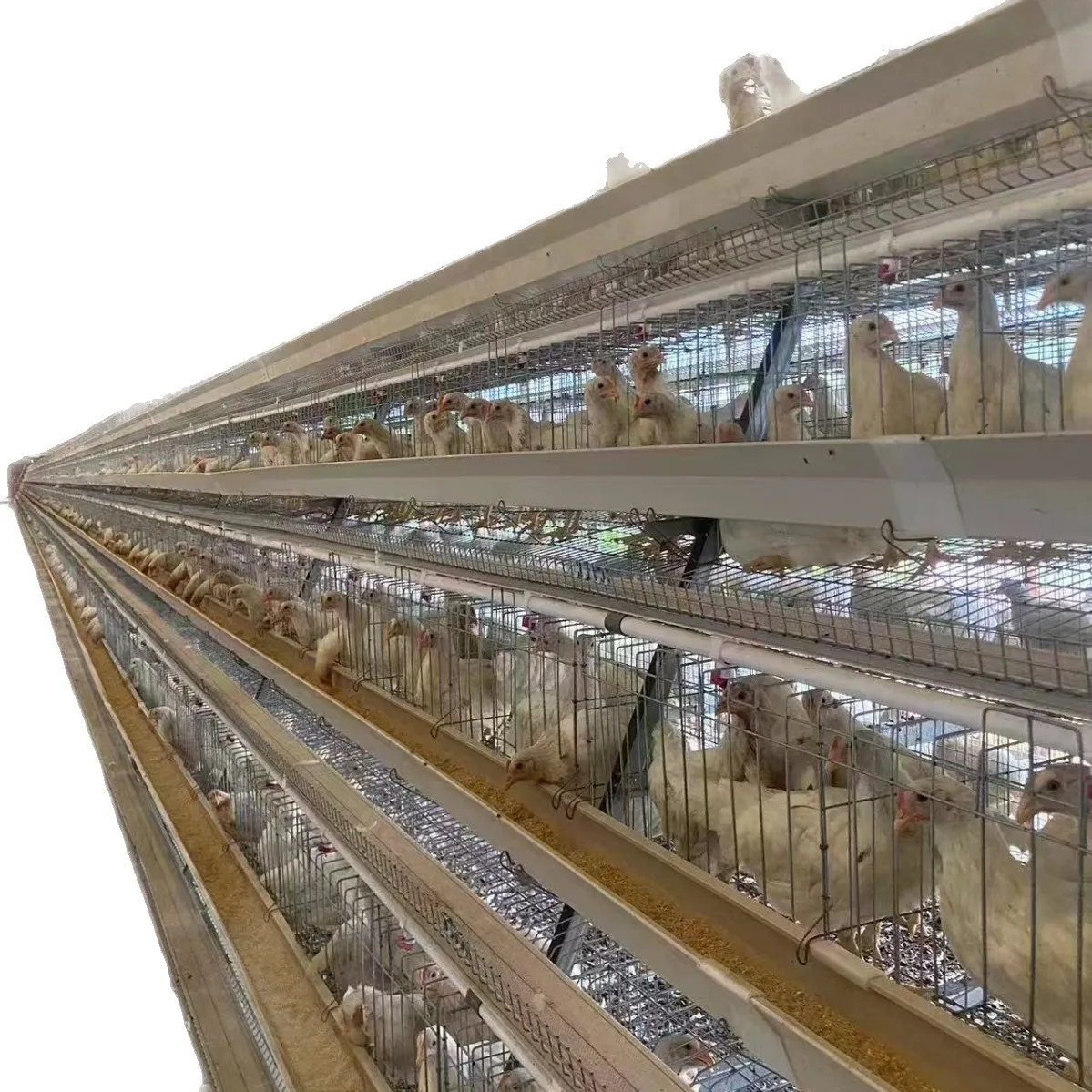 Layered Chicken Cages, 3-4 Layers, Step Design, Poultry Farming Equipment, Hot Dipped Galvanized, Durable and Easy to Assemble