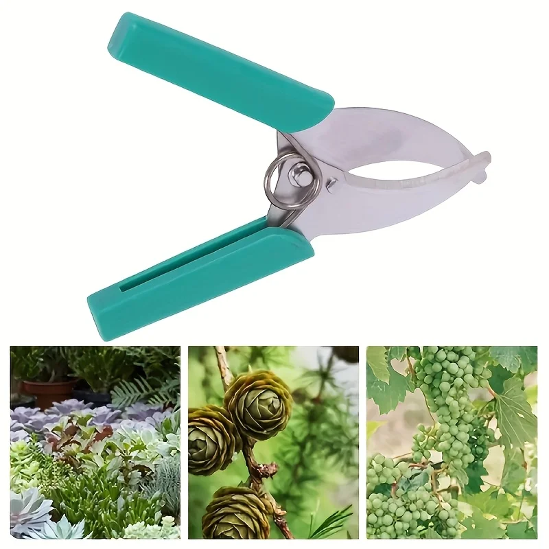 1Pc Professional Grafting Tool Set Bark Cutter Stainless Steel Precision Pruning Scissors for Fruit Trees Vineyards