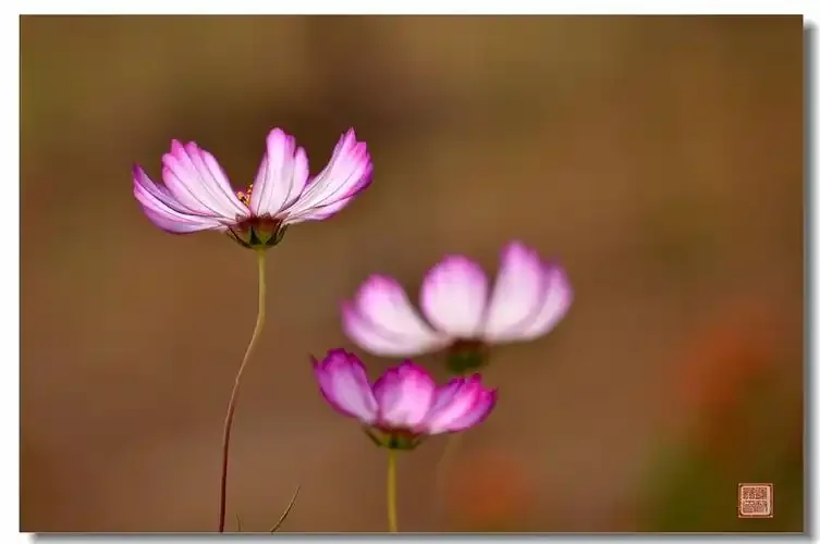 

Aluminum Alloy Upgrade Parts for Remo Hobby Smax 1/16 RC Car 1631 1635 1651 1655 Swing Arm Steering Group Cup Axle Mount C Seat