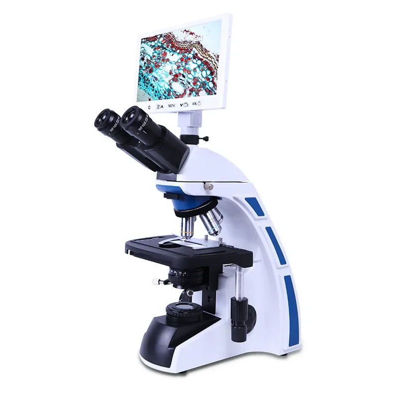 Microscopie biologique, analyse bactérienne en laboratoire, mesure de haute précision, objectif, loupe cellulaire