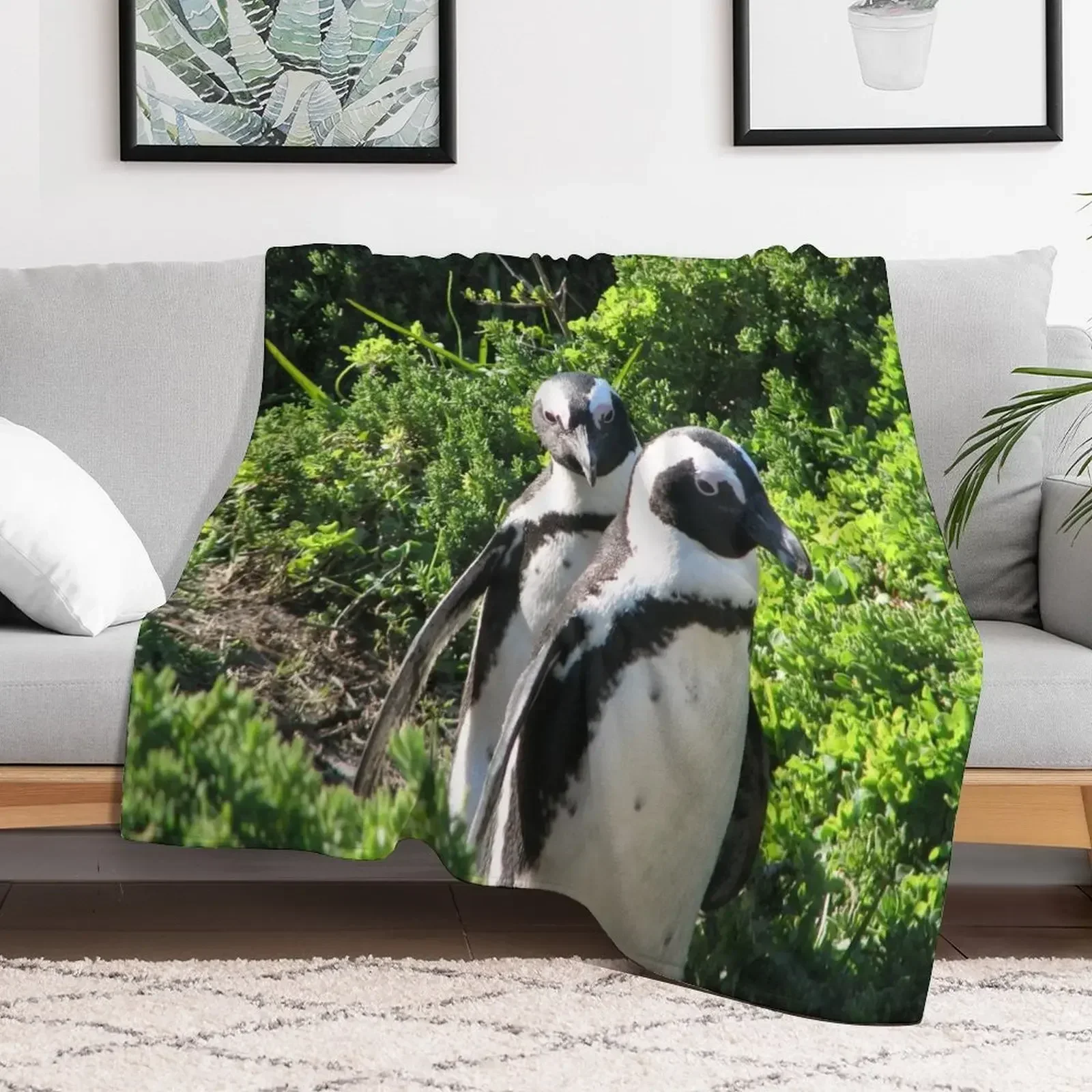 Two African Penguins Strolling Boulders Beach, Cape Town, South Africa Throw Blanket Thin Blankets For Baby Retros Blankets