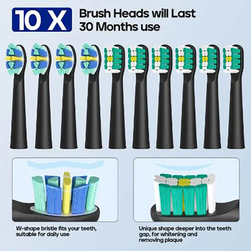 Seago 전동 칫솔, 10 브러시 헤드, 여행 상자 및 칫솔 거치대, 충전식 전동 칫솔, 가족을 위한 선물