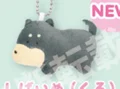 Shiba Inu Black