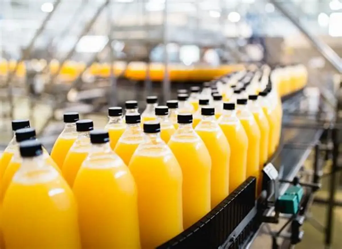 Línea de producción de jugo de fruta Línea completa de producción de jugo