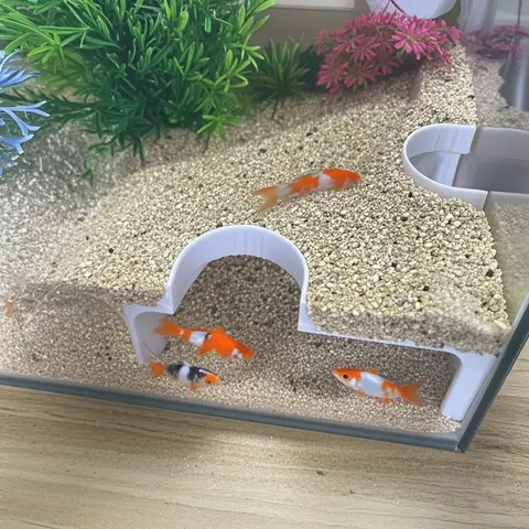 물고기 동굴 은신처 수족관 코너 보호소, 수조용 이중 구멍 물고기 보호소, 수생 동물 플라스틱 보호소, 수족관 동굴