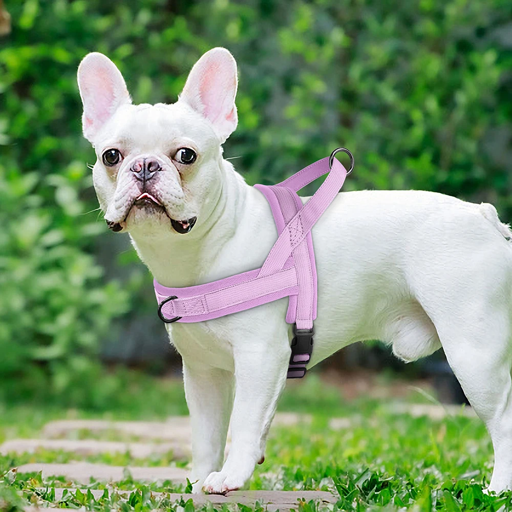 Weiches, nicht ziehendes Geschirr für kleine und mittelgroße Hunde, Nylon, Pitbull-Hunde-Welpengeschirr, gepolsterte Haustierweste, verstellbar für kleine Hunde, Chihuahua, Mops – Detail 14