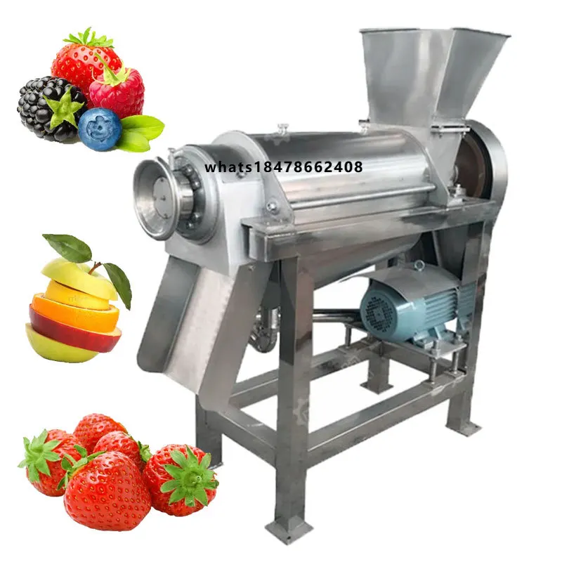 Grape Passion Fruit Juice Making Machine Commercial Carrot Juice Extractor Juicer Machine Ginger Juice Processing Machine