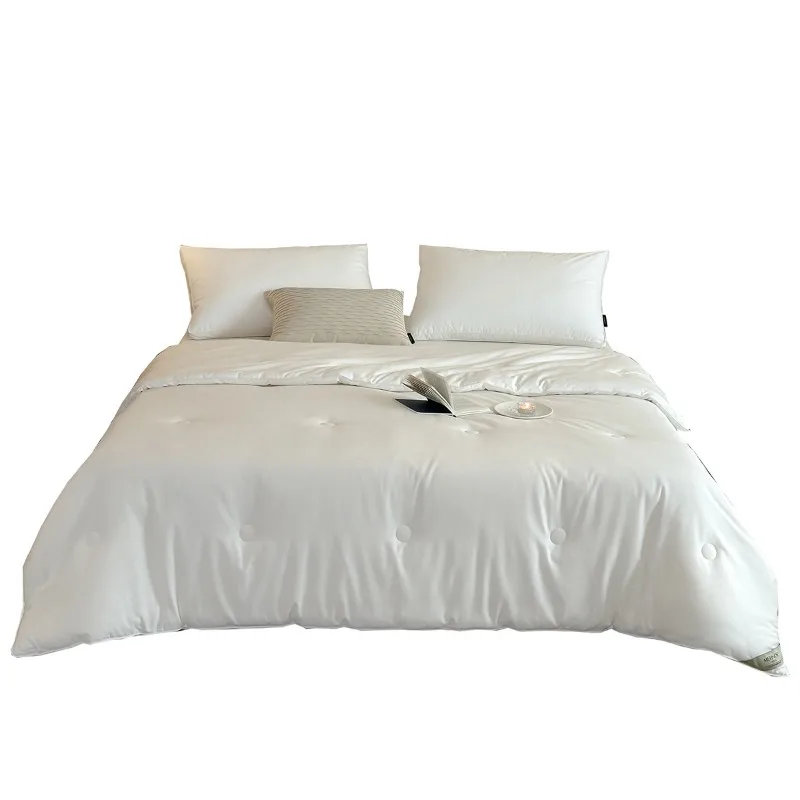 

High-end cotton wool quilt core, spring and autumn quilt thickened to keep warm