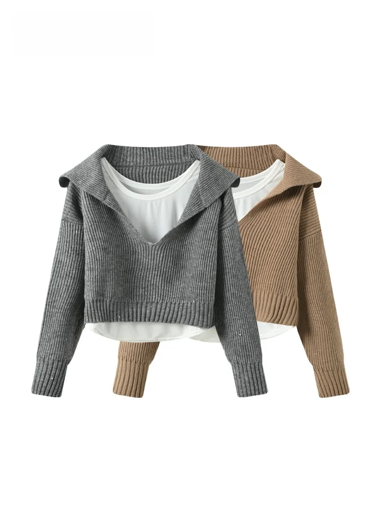 

Модный комплект для женщин больших размеров: свитер с длинным рукавом и жилет Meirade, весенний, в стиле lazy style, трендовый комплект для сестер больших размеров