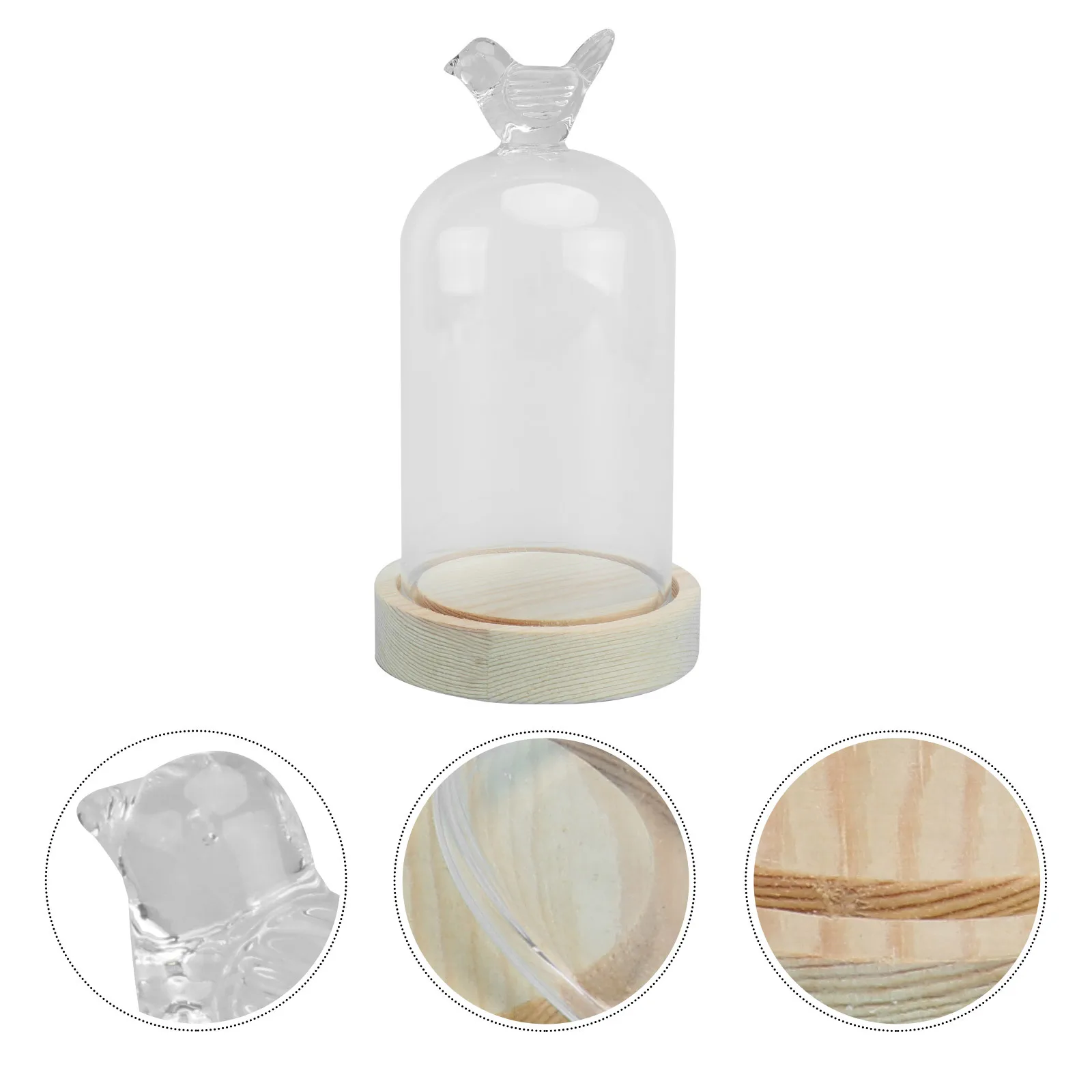 

Glass Cover Adornment Bird Design Mini Dome for Collectibles Flowers 1Pcs Clear Glass Dome Eternal Flower Cover