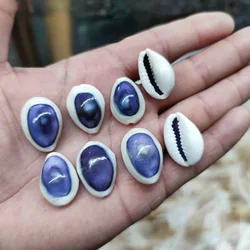 2-2.5cm/20pcs Natural Sea Shells Blue-eyed Conch  Aquarium Beach Scene Decoration Photography Specimen Creative DIY Jewelry