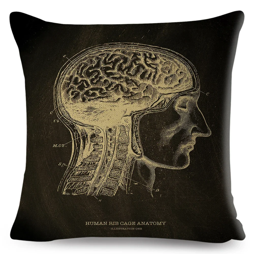 Nordic Style Anatomical Skeleton Chalkboard Cushion Cover for Sofa Home Car Decor Vintage Skull Art Pillowcase Linen Pillow Case