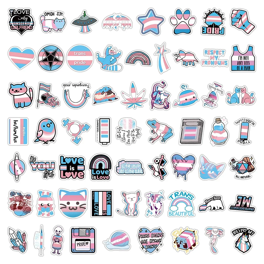 10/30/60pcs Transgender Pride Stickers Toys Rainbow Lesbian Bisexual Pansexual Gay Graffiti Decals Skateboard Laptop Sticker