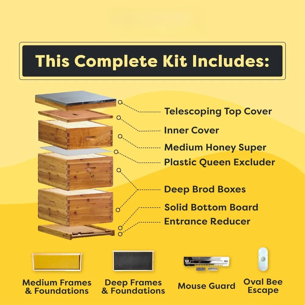 The Original Beeswax Coated Beehive Kit, Includes 2 Deep & 1 Medium Boxes with 10 Wooden Frames & Heavy Wax Coated Foundations