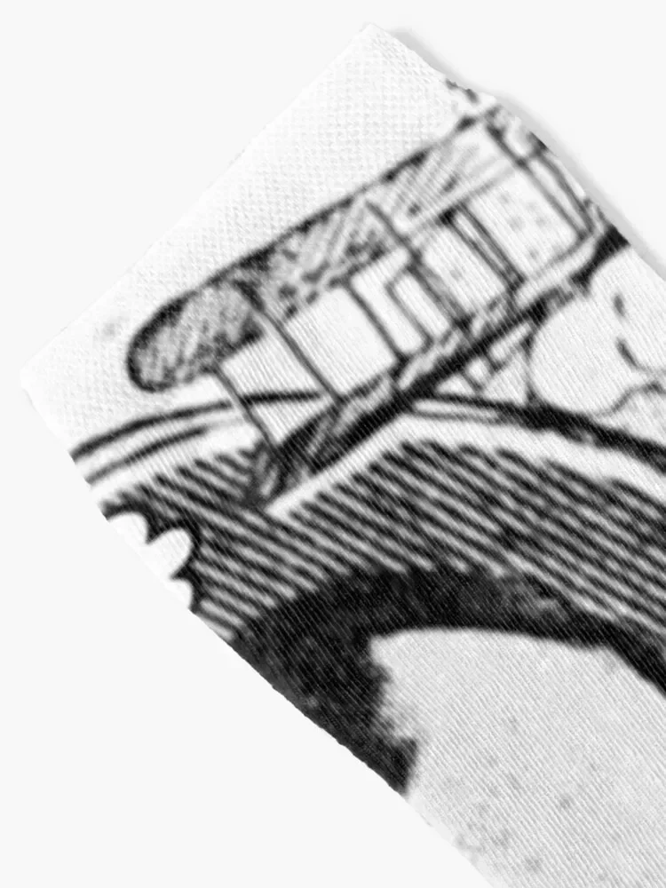 الأخوة رايت. أورفيل آند ويلبر. برو! الجوارب بالجملة جورب مضحك الجوارب الرجالية الإناث الرجال #2