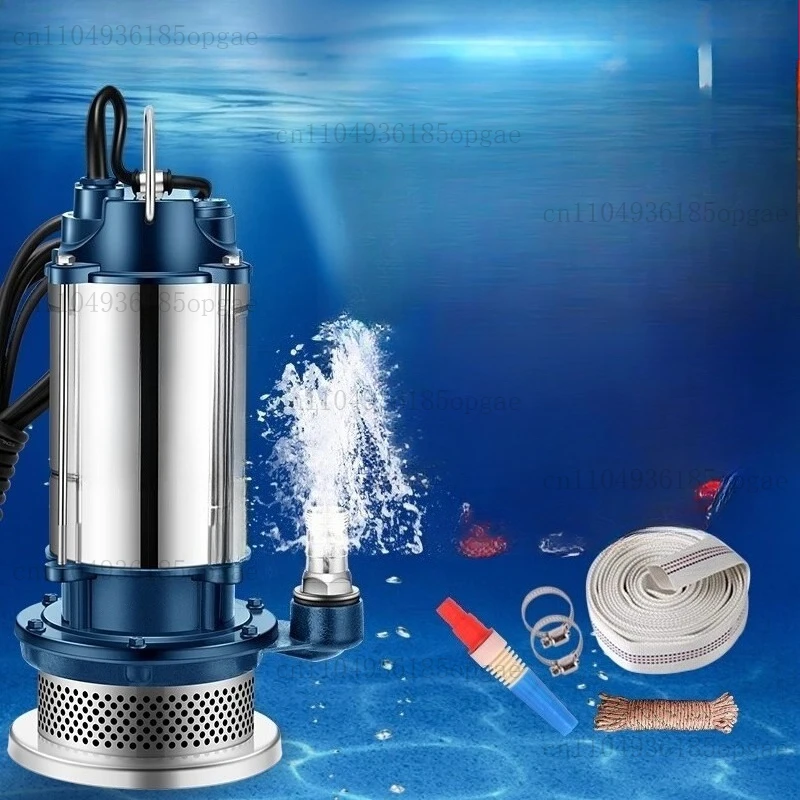 Water Pump Small Irrigation 220V Pumping Large Flow
