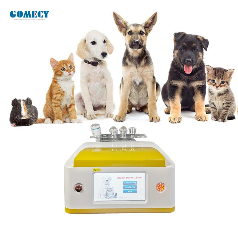 Gomezy Animals Use 980 la ser Veterinary 980 la ser Surgery Cutting Veterinary la ser Surgery