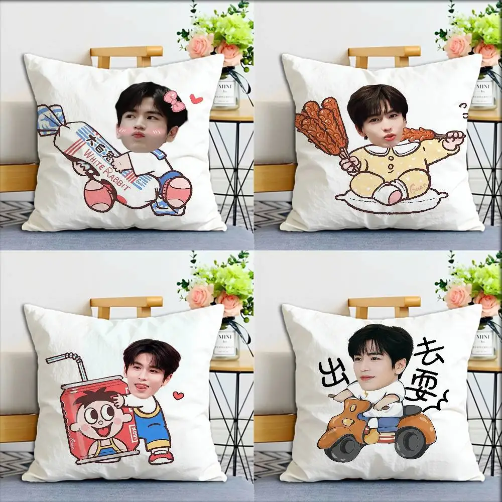 Actor Zhang Linghe World Various Sizes Square Pillow Case For Car Home Bedchamber Decor