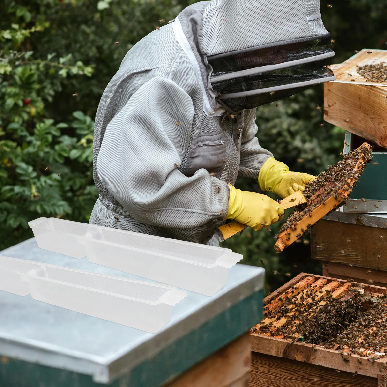 

4pcs Bee Feeder Beehive Water Feeding Tray Large Capacity Hive Tool Beekeeping Supplies Equipment Durable Plastic Waterer Plate